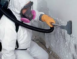 Best HVAC Mold Inspection and Cleaning  in Merryville, LA